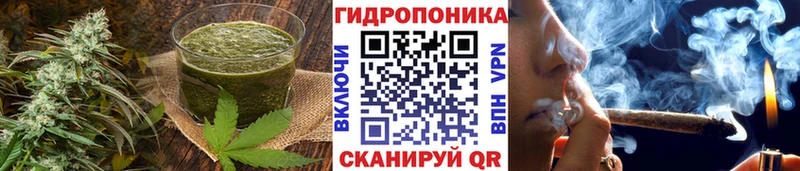 Печенье с ТГК марихуана что такое Новозыбков