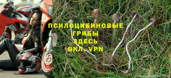 ECSTASY Вязьма