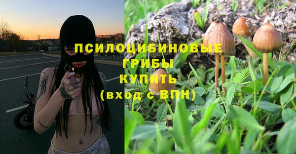 ECSTASY Вязьма
