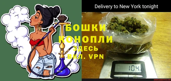СК Вяземский