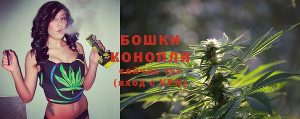 ECSTASY Вязьма