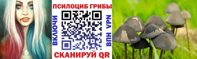 Галлюциногенные грибы мухоморы Новозыбков